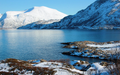 Norway Tromso fjord with snow-covered mountains, calm blue water, and rocky snowy shoreline