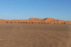 Line of camels walking across sandy desert terrain with orange dunes in the background, promoting Private Taxi from Erfoud to Merzouga.