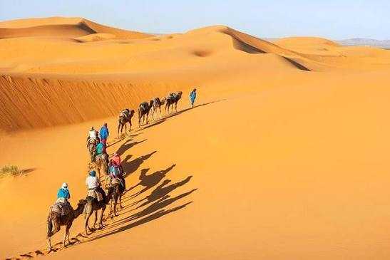 Sahara desert camel caravan crossing golden sand dunes under clear sky, highlighting Private Taxi from Erfoud to Merzouga adventure.