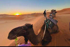 Camel caravan in desert sand with saddles and riders, warm sunset sky over rolling dunes for Private Taxi from Erfoud to Merzouga trip.
