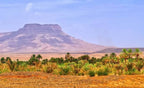 Desert landscape with green palm trees in foreground and large rocky mesa under clear blue sky, illustrating Private Taxi Rent route