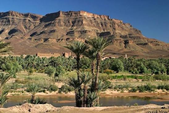 Desert landscape with rocky mountains, green palm trees, and shrubs under a clear blue sky in Morocco