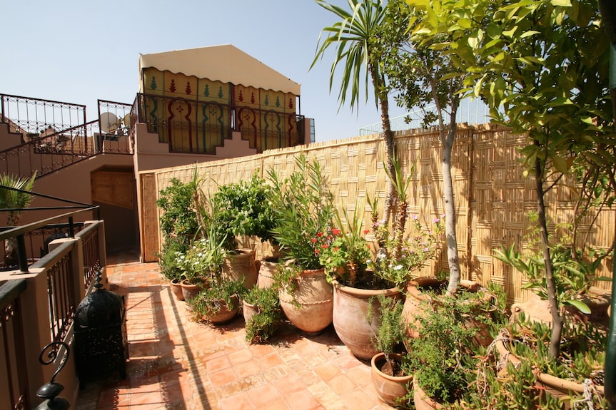 Riad Africa Marrakech outdoor terrace with terracotta tiled floor, large clay pots with green plants, and bamboo fencing under clear sky