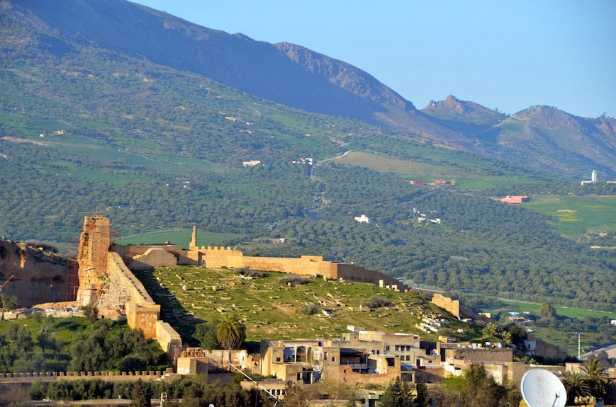 Riad Dar Tahri SPA view of historic stone fortress walls and traditional buildings set against green mountainous landscape