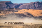 Desert landscape with rocky mountains, golden sand dunes, a camel caravan, and a person walking, illustrating the Royal Desert Camp experience in Merzouga.