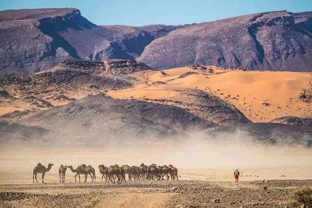 Desert landscape with rocky mountains, golden sand dunes, a camel caravan, and a person walking, illustrating the Royal Desert Camp experience in Merzouga.