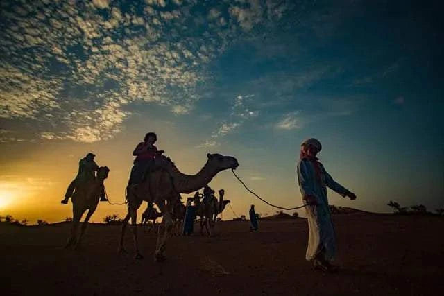 Sunset desert scene with silhouettes of camels and riders led by a guide in traditional attire at Royal Desert Camp.