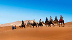 Royal Luxury Camp camel caravan with riders dressed in colorful robes trekking across golden sand dunes under clear blue sky