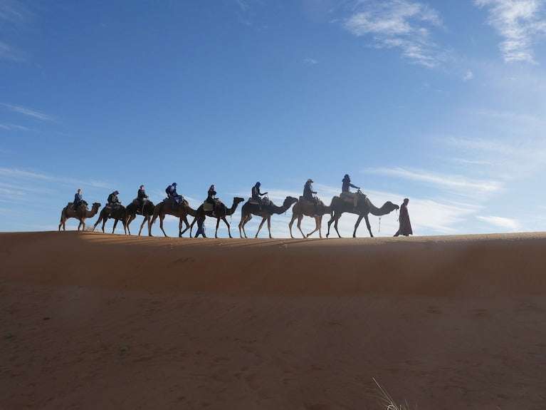 Royal Luxury Camp desert scene with eight people riding camels led by a guide against blue sky and sandy dunes