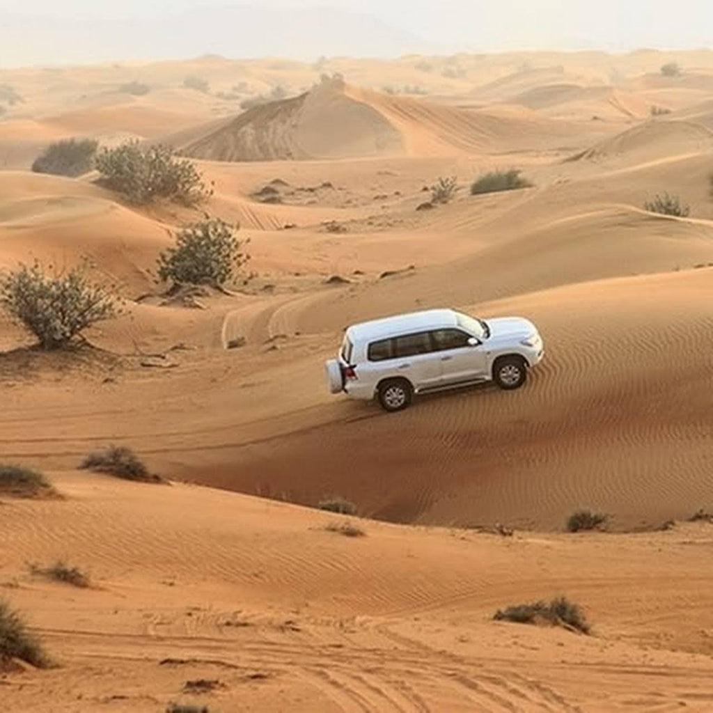 4x4 Rental in Merzouga With an English-Speaking Driver