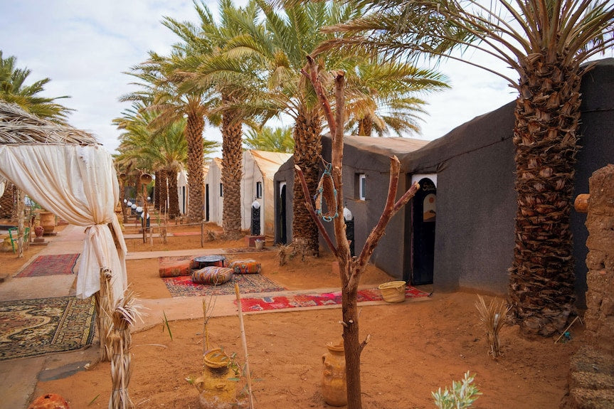 Sahara Garden Luxury Camp desert tents in earthy brown with palm trees and traditional rugs on sandy ground