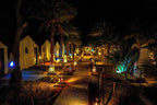 Sahara Garden Luxury Camp night view with illuminated desert tents, palm trees, and lantern-lined pathway in warm lighting