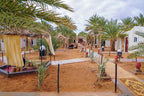 Sahara Garden Luxury Camp showing outdoor sandy area with palm trees, shaded seating, and white canvas tents under cloudy sky