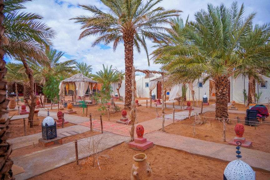 Sahara Garden Luxury Camp outdoor area with tall palm trees, sandy ground, stone pathways, traditional lanterns, and gazebo seating under blue sky