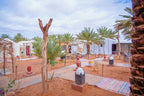 Sahara Garden Luxury Camp featuring white canvas tents, palm trees, sandy ground, and traditional desert lanterns in a Moroccan desert setting
