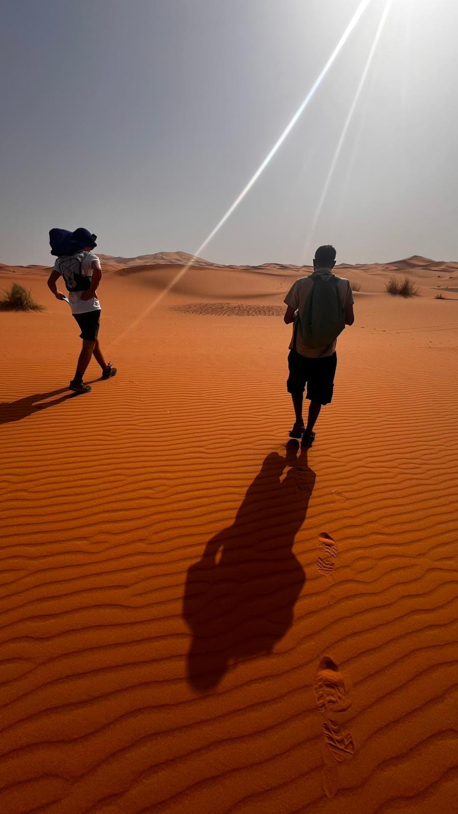 Sahara Trek Camp featuring two people walking on orange sand dunes under bright sunlight with clear blue sky