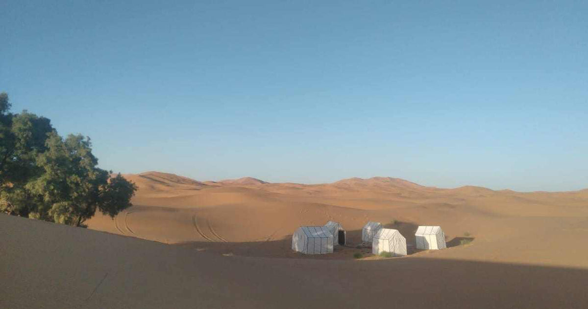 Sahara Trek Camp with white traditional tents set on golden sand dunes under a clear blue sky in Merzouga desert