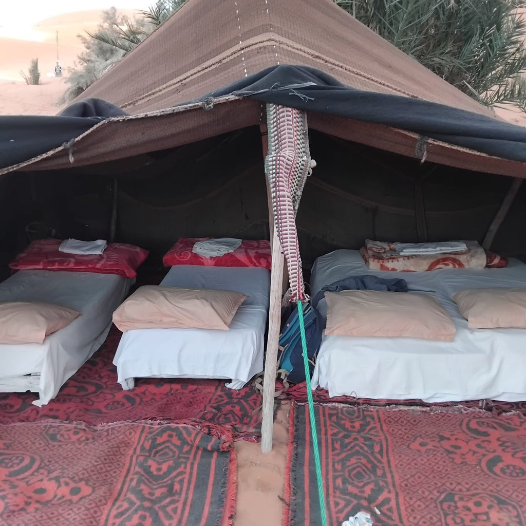 Sahara Wild Camp displaying a spacious brown desert tent with multiple beds covered in white sheets and colorful pillows on patterned carpets