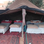 Sahara Wild Camp displaying a spacious brown desert tent with multiple beds covered in white sheets and colorful pillows on patterned carpets