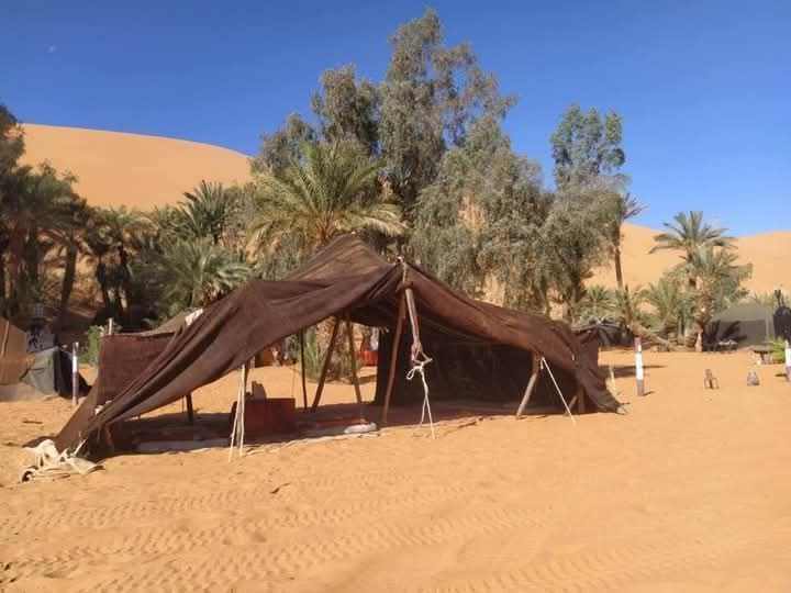 Sahara Wild Camp featuring a large brown fabric tent set on orange desert sand with palm trees and shrubs in the background under a clear blue sky