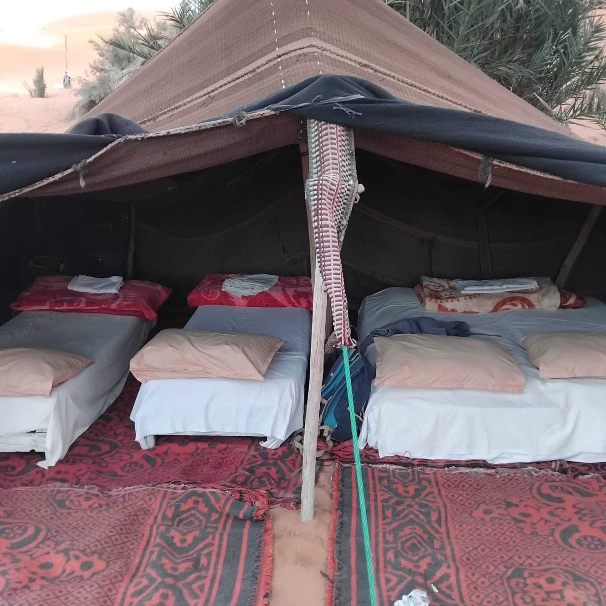 Sahara Wild Camp with brown fabric tent housing five beds with white sheets and beige and red pillows on patterned red rugs