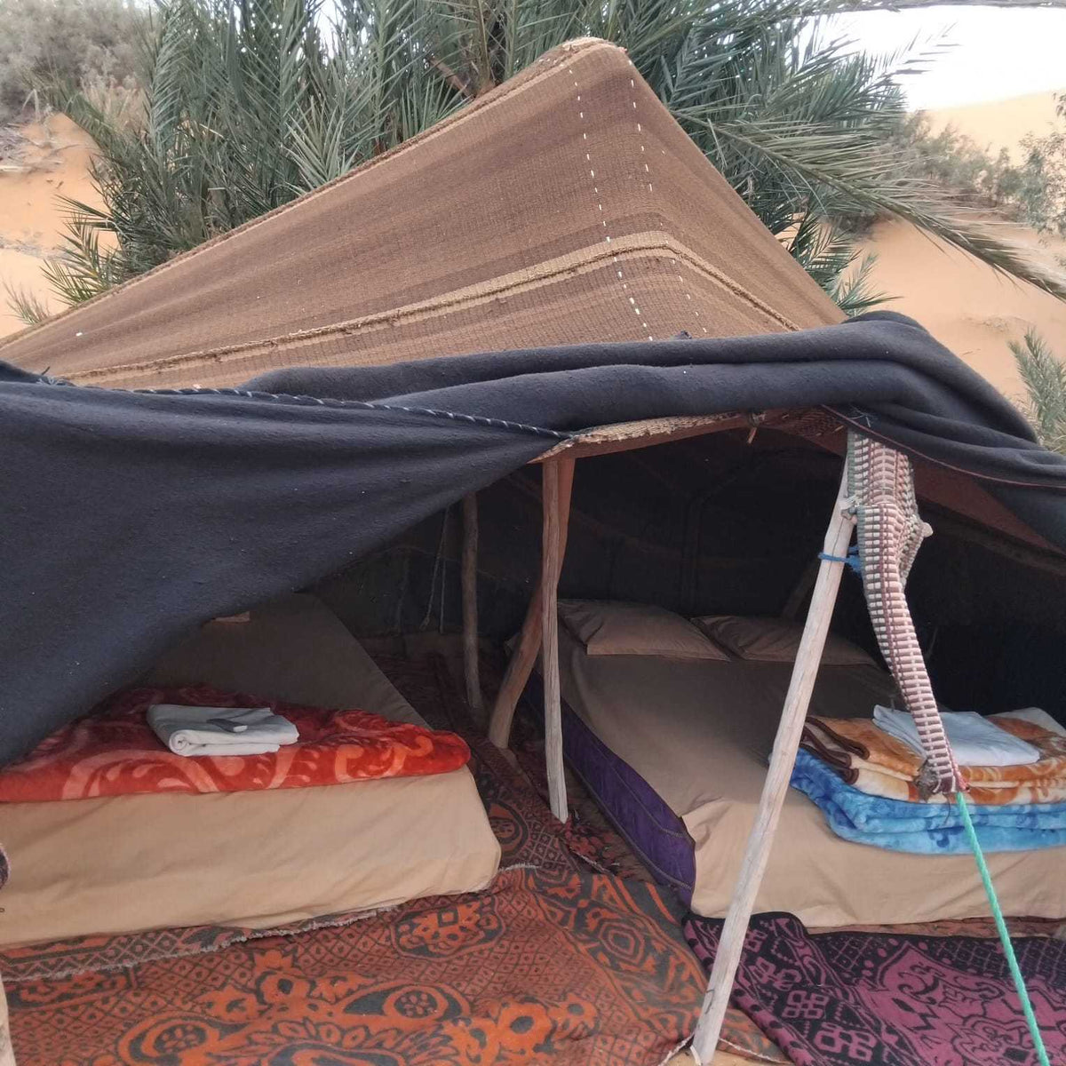 Sahara Wild Camp with brown fabric tent, two single beds inside with colorful blankets and towels, set on patterned rugs