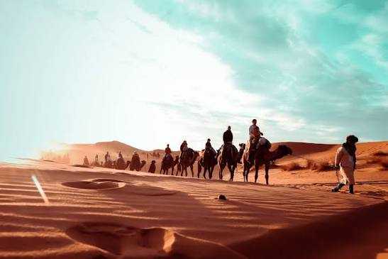 Camel caravan riding across golden sand dunes under blue sky in a desert at sunset during a shared 3 days 2 nights tour