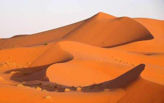 Golden orange sand dunes in the Sahara Desert under clear sky during a shared 3 days 2 nights tour from Marrakech to Merzouga