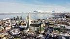 1-Day Iceland Northern Lights Tour