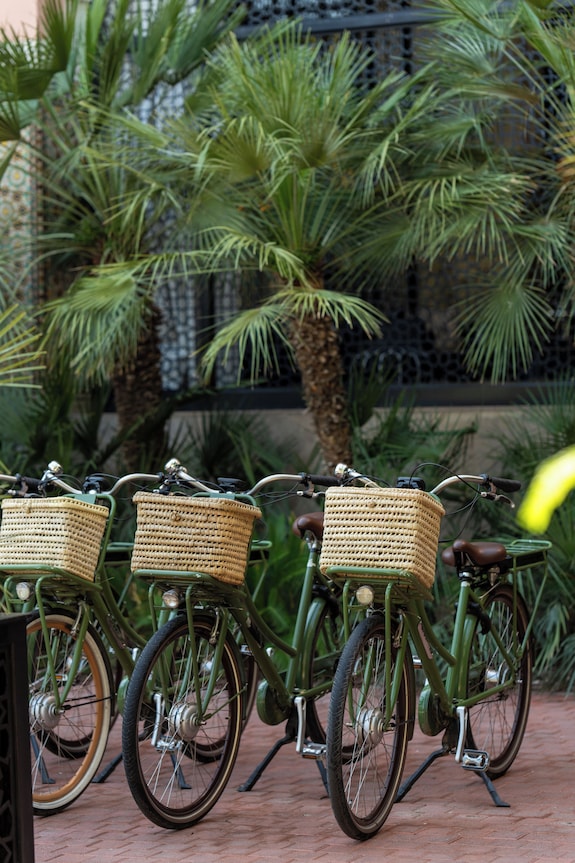 Sofitel Marrakech Palais Imperial & Spa green bicycles with woven front baskets parked near tropical palm trees outdoors