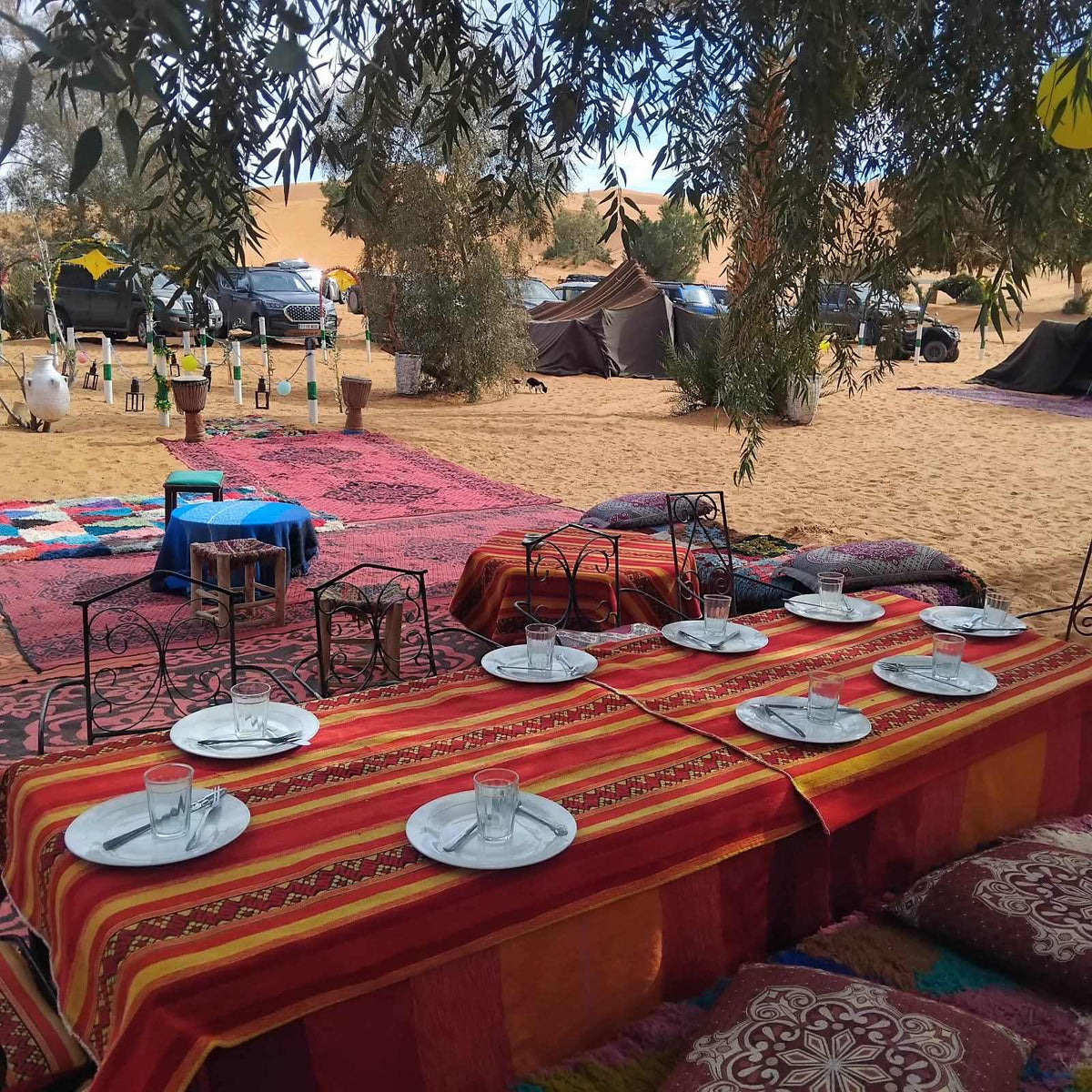 2-hour camel trekking from Merzouga to Oasis back to Merzouga