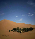 Standard Camp Merzouga Oasis nestled among golden Sahara dunes under a starry night sky with sparse clouds