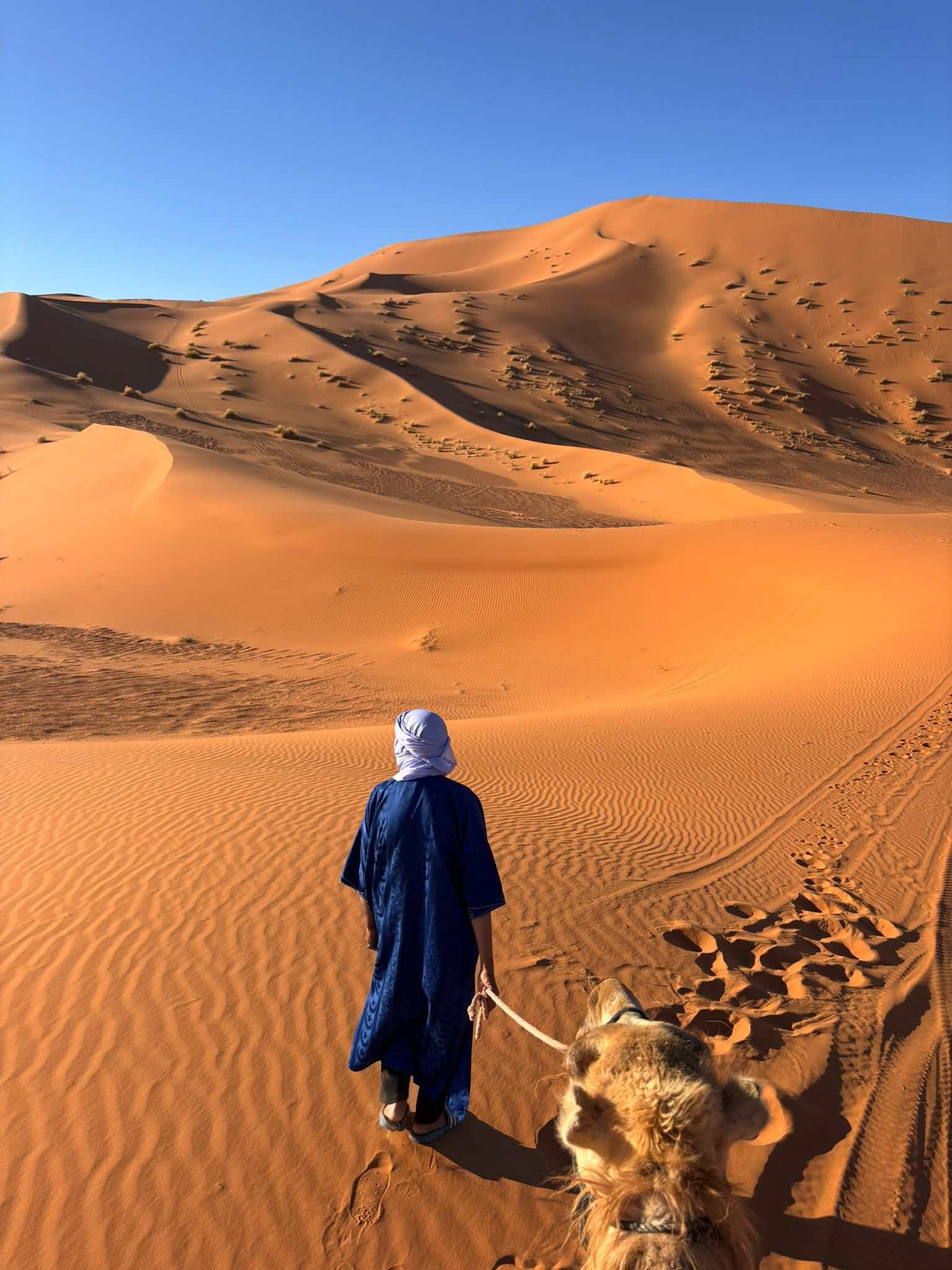 2-hour camel trekking from Merzouga to Oasis back to Merzouga