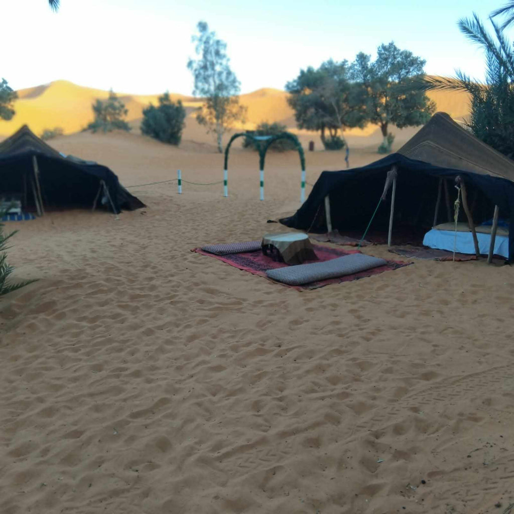 Standard Camp Merzouga Oasis with traditional black desert tents on golden sand surrounded by sparse vegetation and distant dunes
