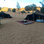 Standard Camp Merzouga Oasis with traditional black desert tents on golden sand surrounded by sparse vegetation and distant dunes
