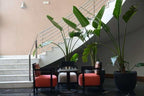 Seating area with two coral upholstered armchairs, a beige ottoman, black round table, and large green potted plants near marble stairs