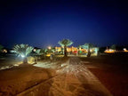 Yakout Merzouga Luxury Camp illuminated at night with palm trees and a stone pathway under a dark blue sky in the desert